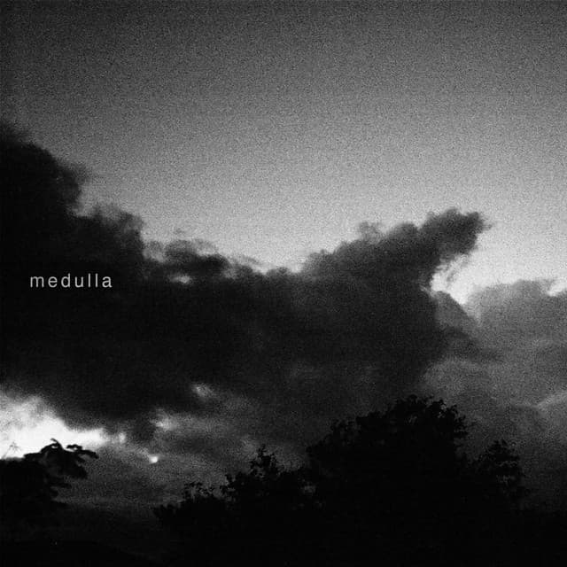 Artwork for Medulla